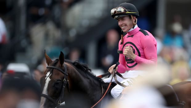 war_of_will_prepares_to_enter_winners_circle_at_preakness.jpg